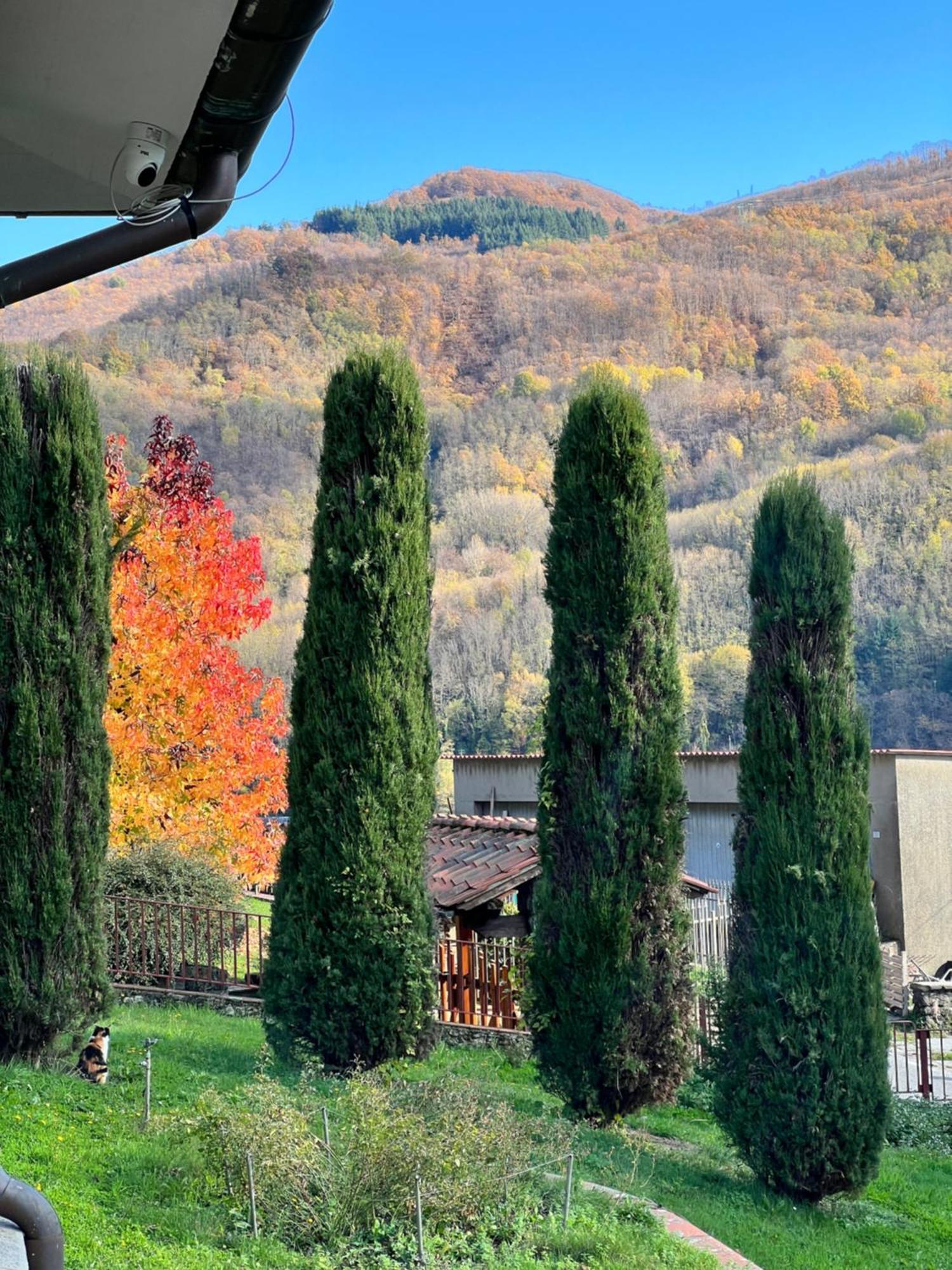 Belvedere Di Alojamento de Turismo Selvagem Popiglio